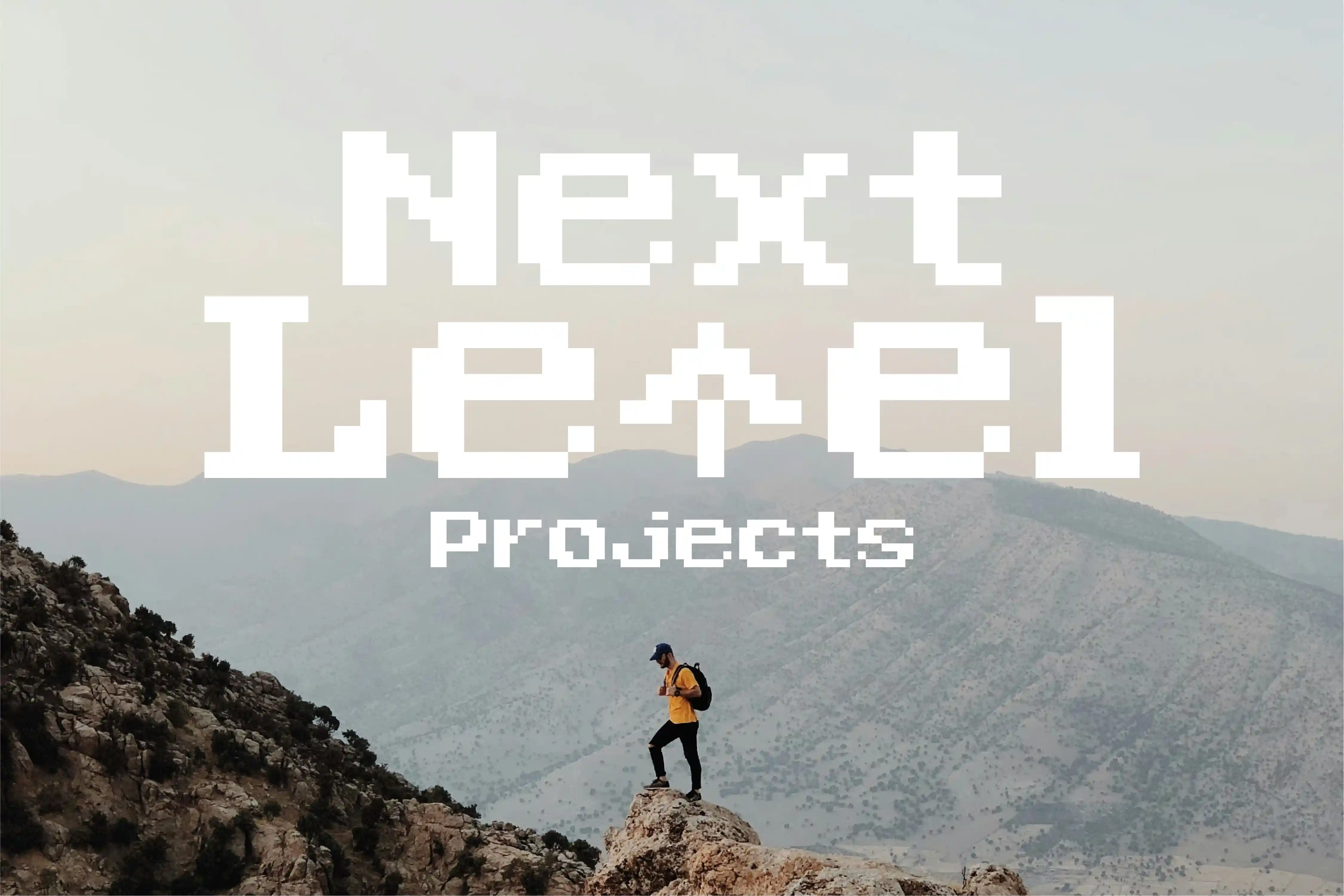 Wortmarke für Next Level Projects